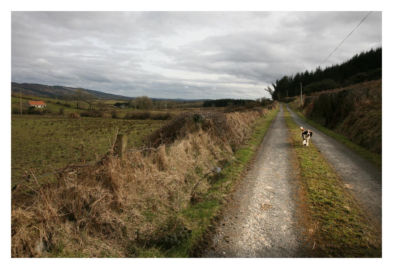 Ash Lodge Moytirra ภายนอก รูปภาพ